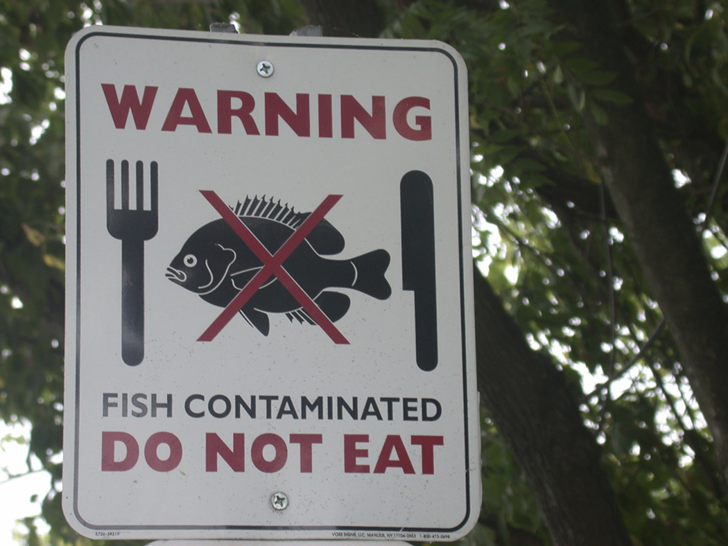 Doctors Agree that Omega 3s Are Good for Cardiovascular Health – But is Fish Really Your Best Source of Omega 3s?
